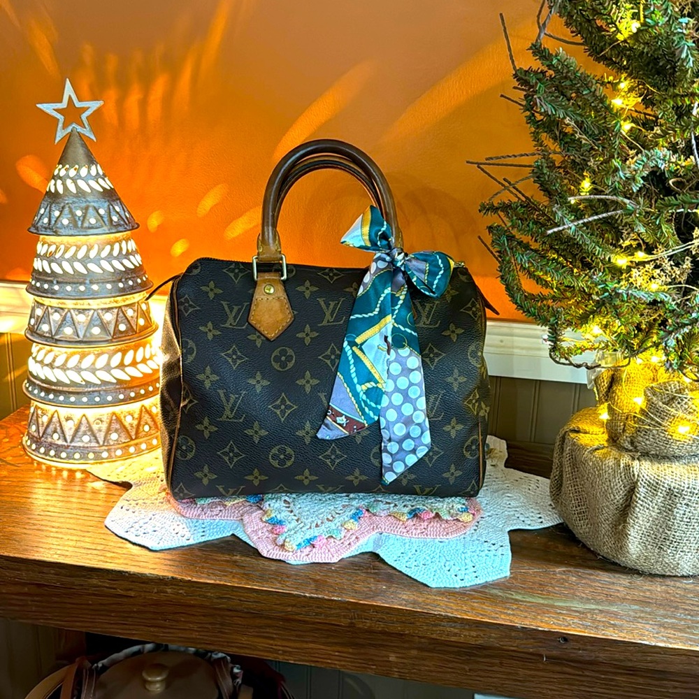 Louis Vuitton Speedy 25 COA